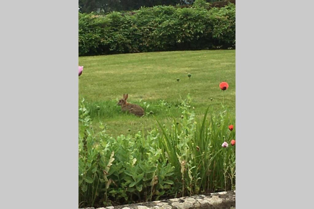 Stay On The Grounds Of This Beautiful Manor House Wimborne Minster Buitenkant foto