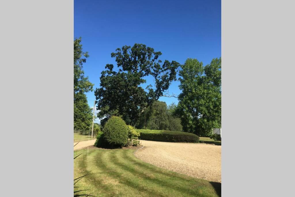 Stay On The Grounds Of This Beautiful Manor House Wimborne Minster Buitenkant foto